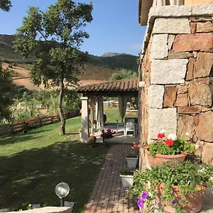 Il Giardino Di Daniela San Teodoro (Sardinia)